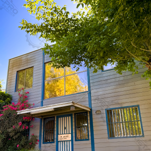 Frontis Metal Pro Service