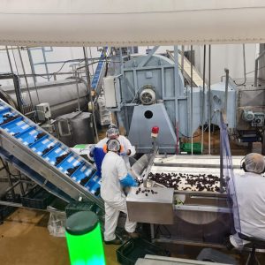 WhatsApp Image 2025-12-11 at 2.08.31 PM (2)