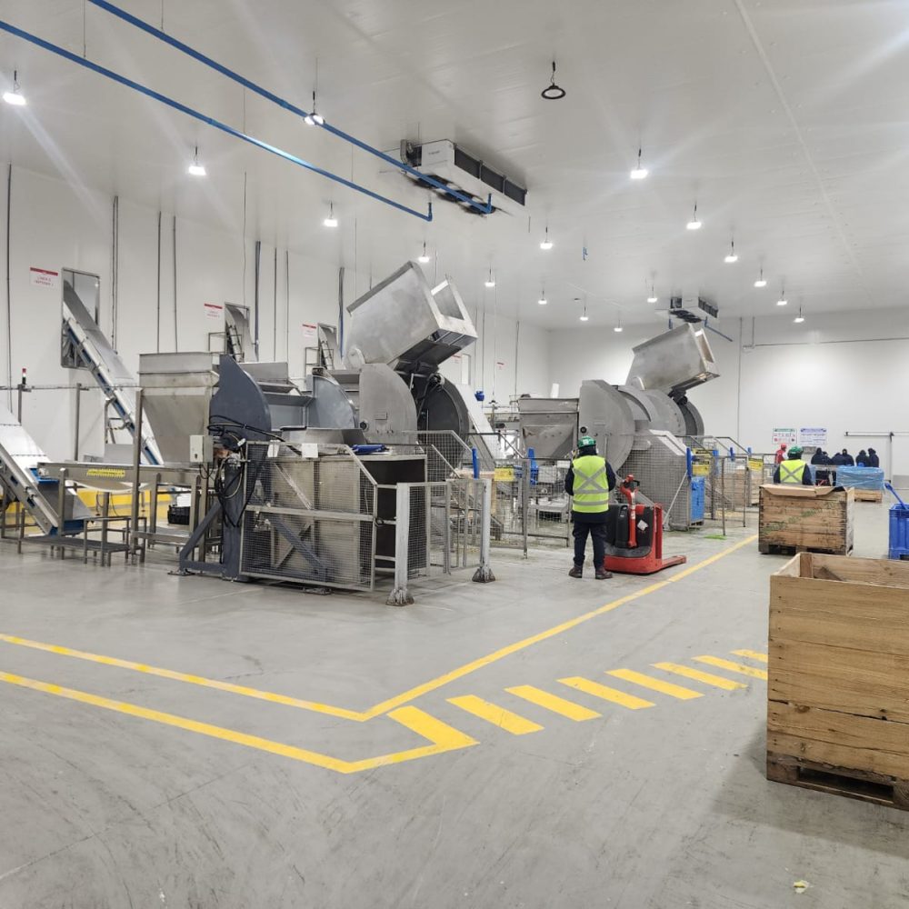 Línea productiva industrial diseñada y fabricada a medida por Metal Pro Service